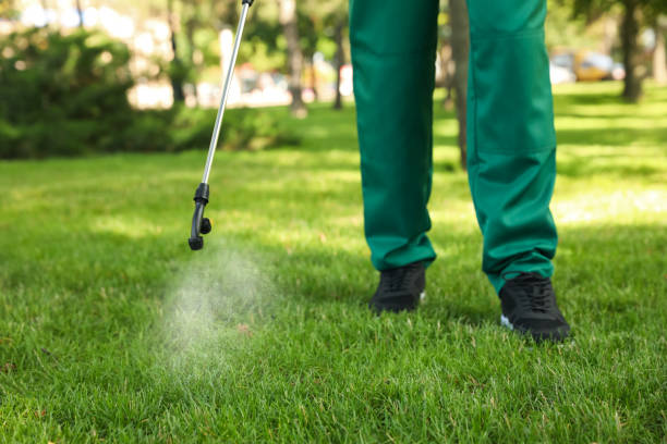 Best Pest Removal Services  in Atlantic, IA