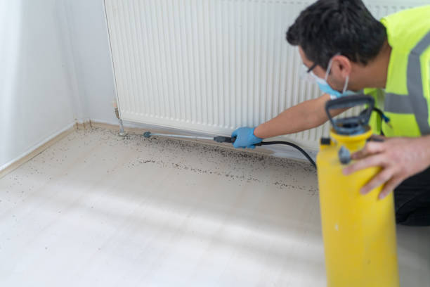 Best Pest Inspection Near Me  in Atlantic, IA