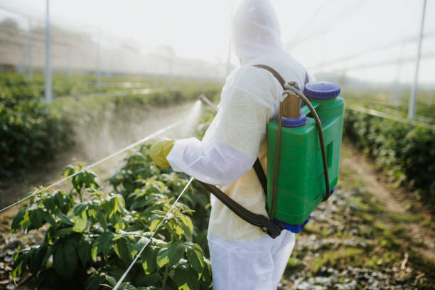 Best Mosquito Control Services  in Atlantic, IA